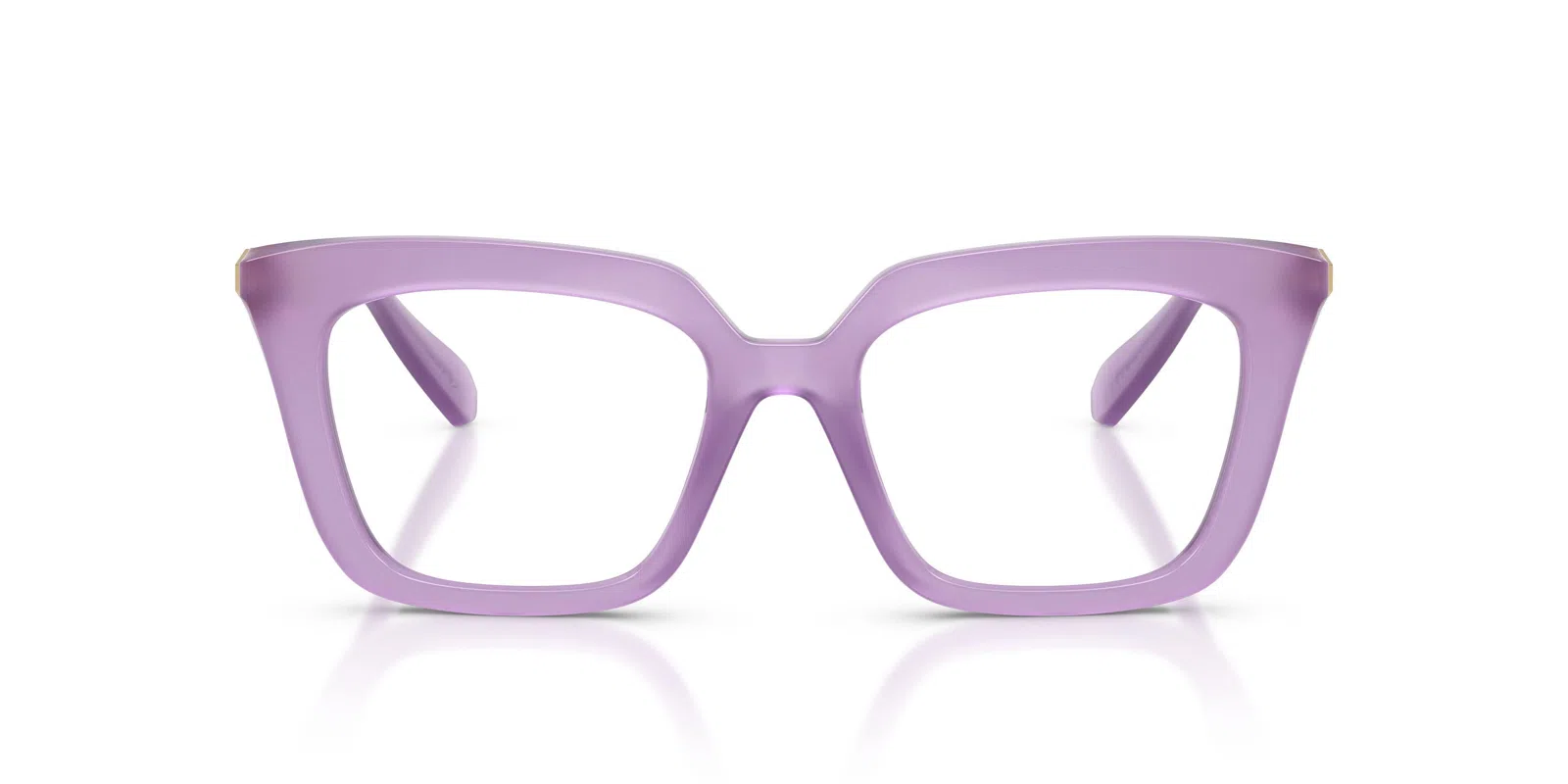 Swarovski 2043 Eyeglasses - view 19
